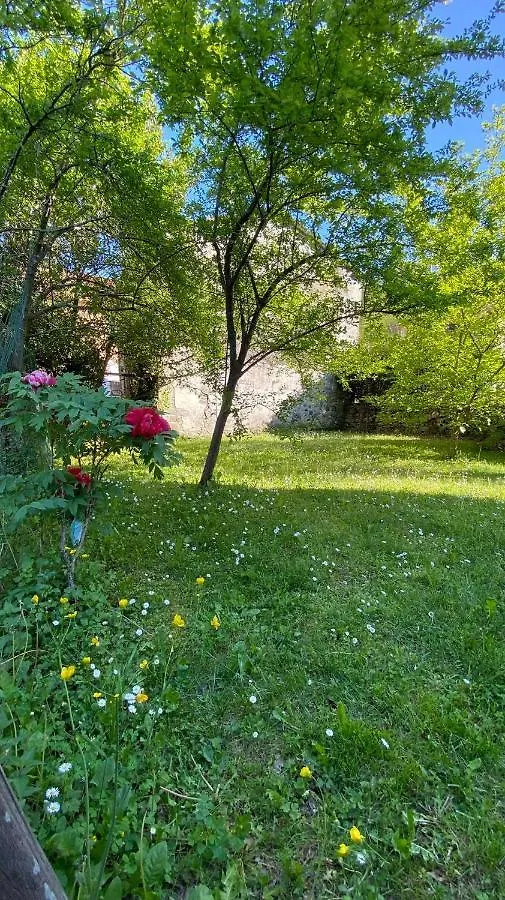 Villa Molinazzo Cicagna